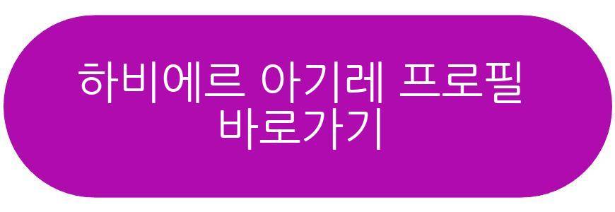 하비에르 아기레