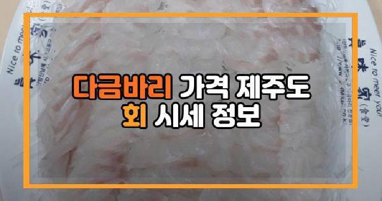 다금바리 가격