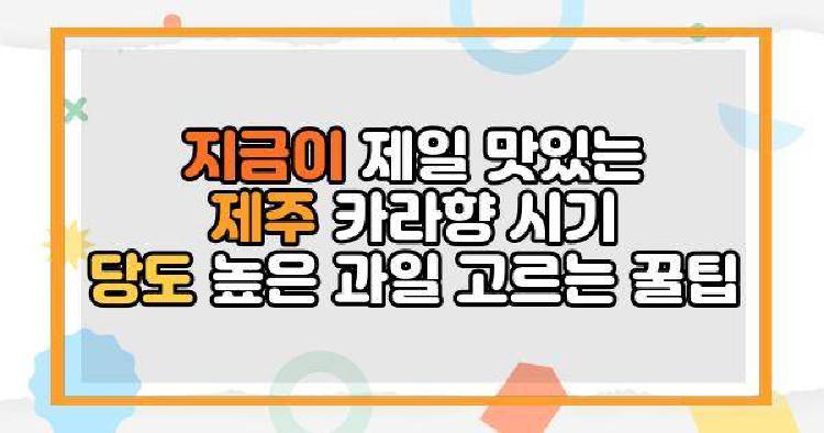 지금이 제일 맛있는 제주 카라향 시기 당도 높은 과일 고르는 꿀팁