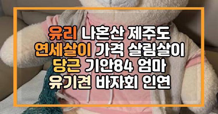 유리 나혼산