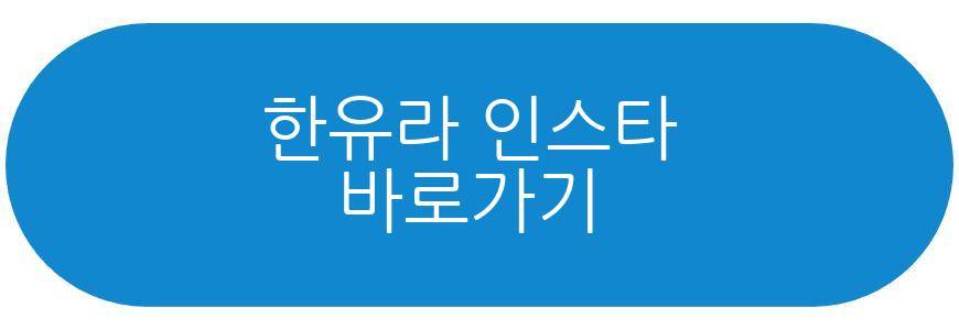 정형돈 쌍둥이 딸