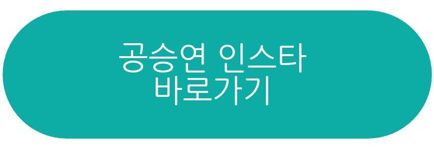 정연 공승연