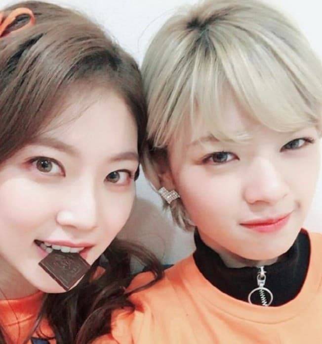 정연 공승연