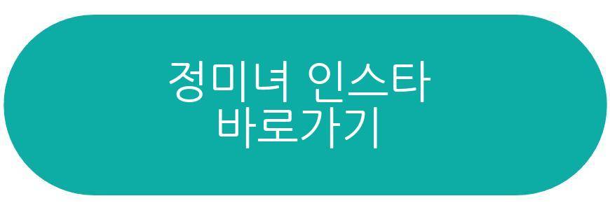 전민기 정미녀