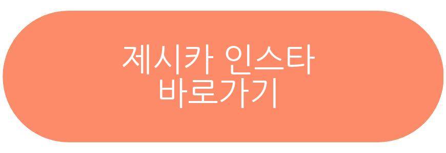 제시카 생일