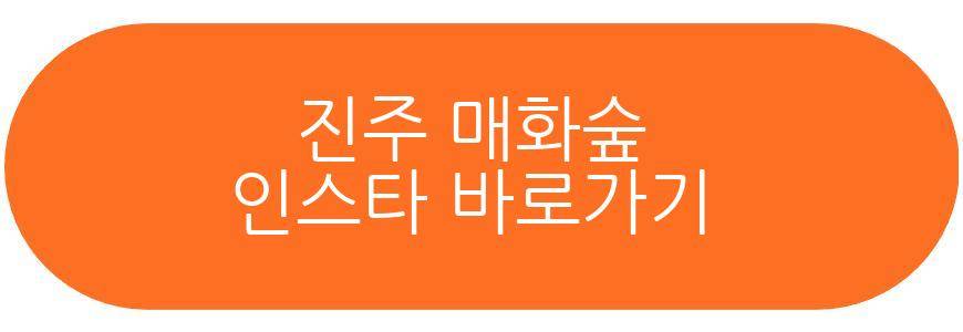 진주 매화숲