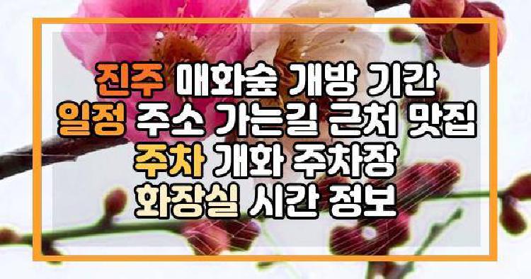 진주 매화숲