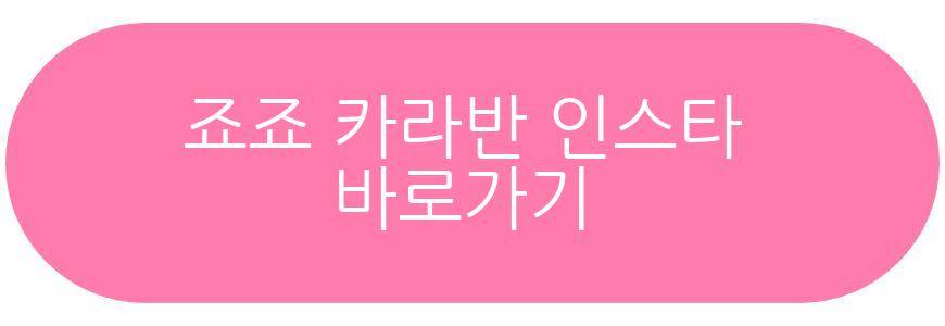 죠죠 카라반
