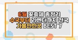 6월 꽃축제 총정리 수국부터 라벤더까지 전국 가볼만한곳 BEST 7