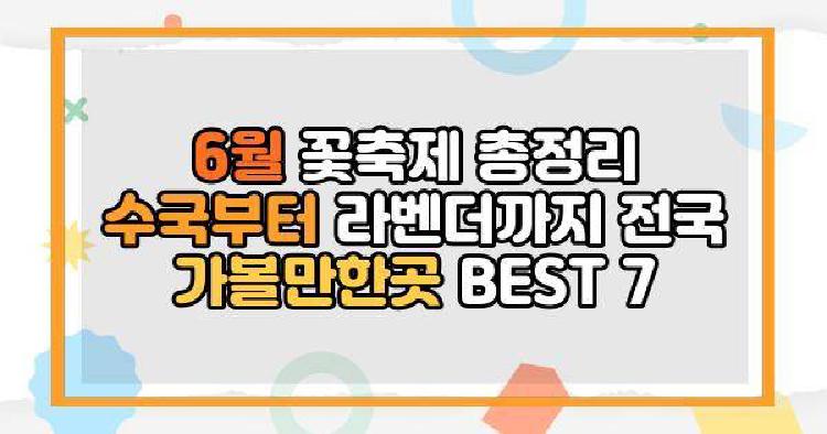 6월 꽃축제 총정리