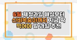 6월 제철과일 매실부터 신비복숭아까지 지금 딱 먹어야 할 과일 추천