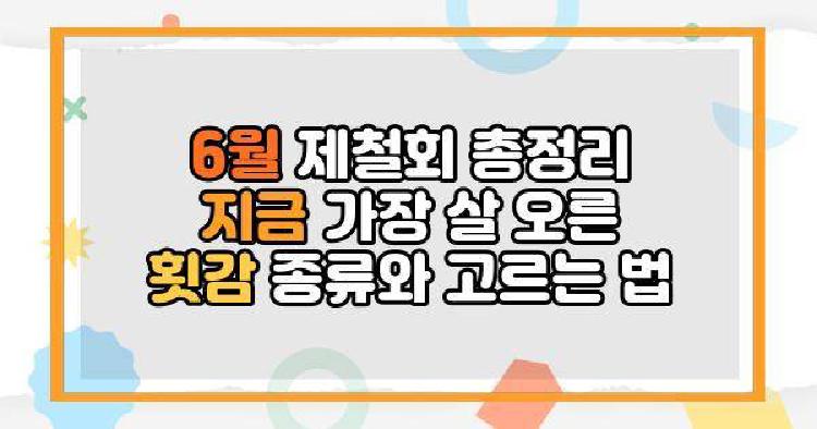 6월 제철회 총정리