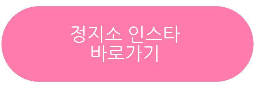 정지소 숏컷 근황