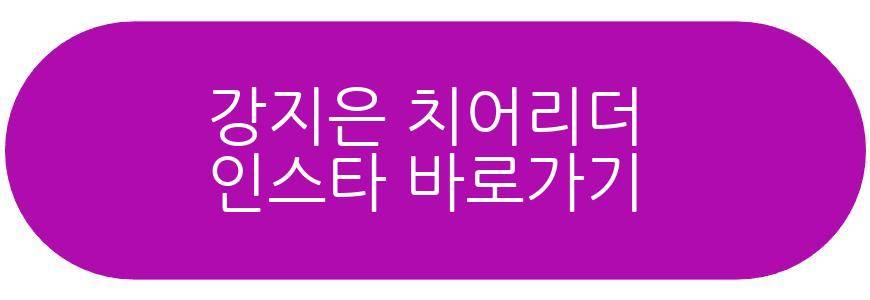 강지은 치어리더