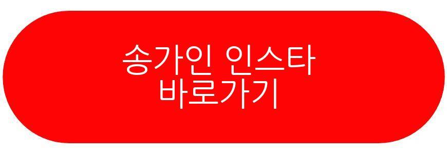 김동준 송가인