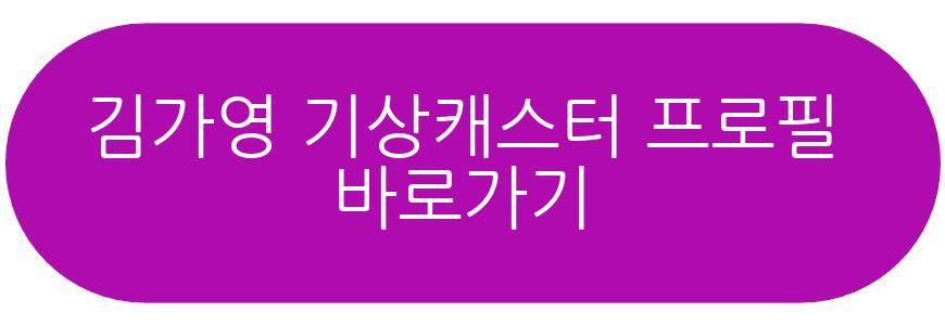 김가영 기상캐스터
