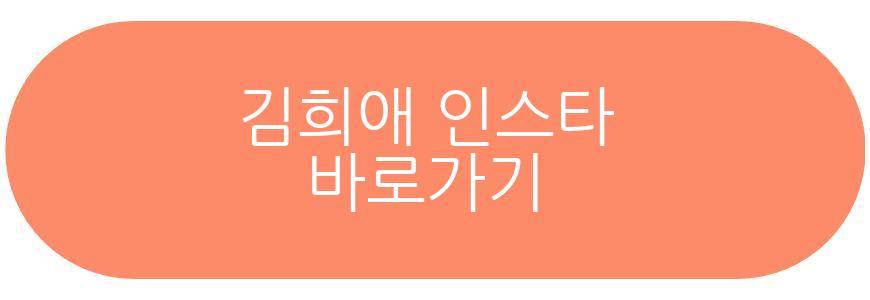 김희애 노상현