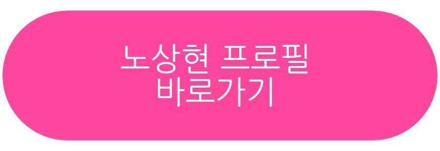 김희애 노상현