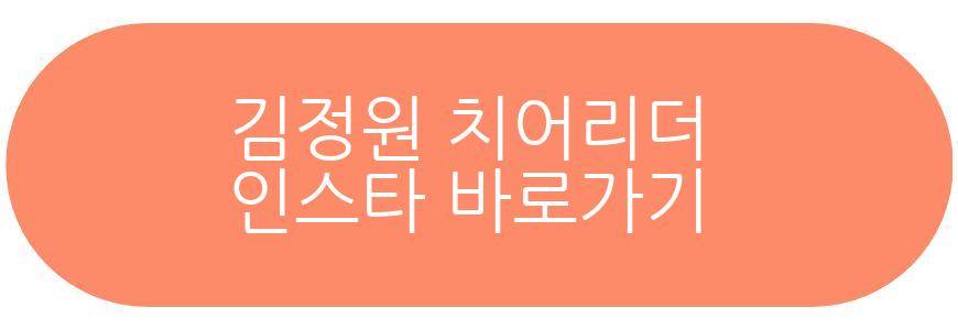 김정원 치어리더