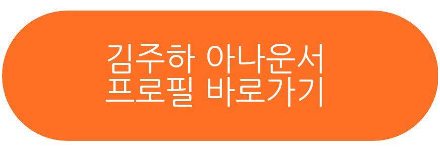 김주하 아나운서