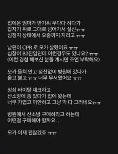 김준희 반려견