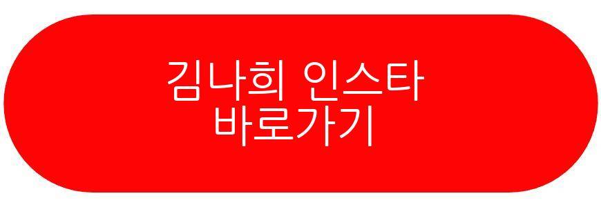 김나희 결혼
