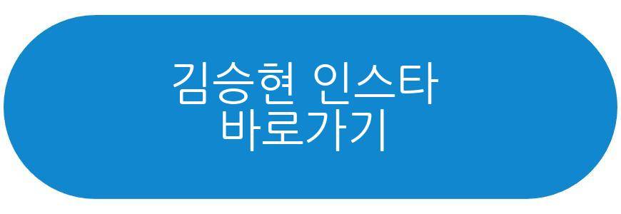 김승현 나고야 여행