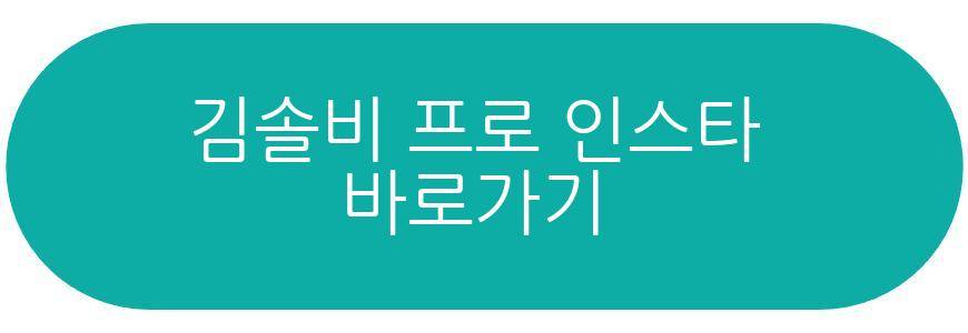 김솔비 프로