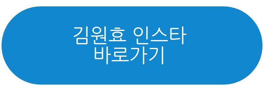 김원효 심진화