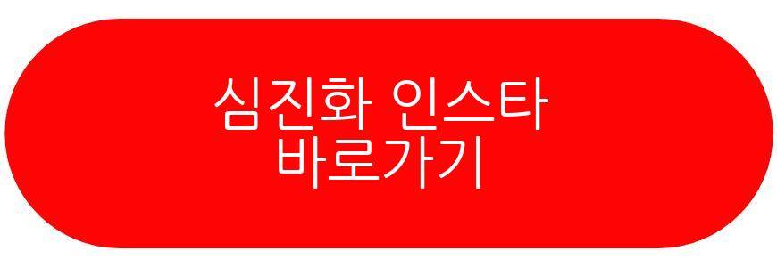 김원효 심진화