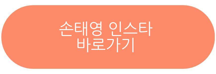권상우 손태영 딸