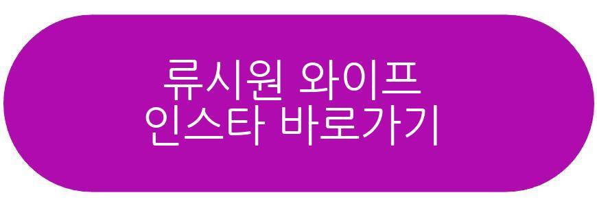 류시원 와이프