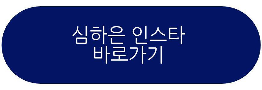이천수 딸 이하은