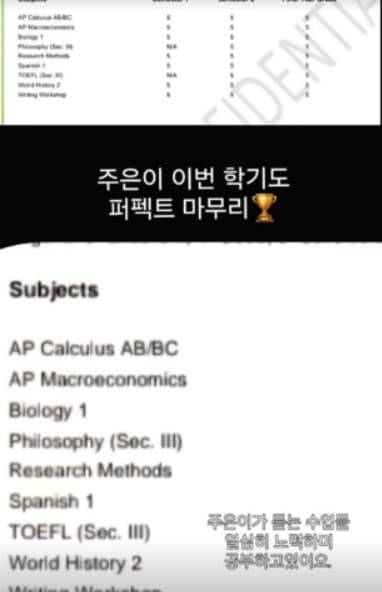 이천수 딸 이하은