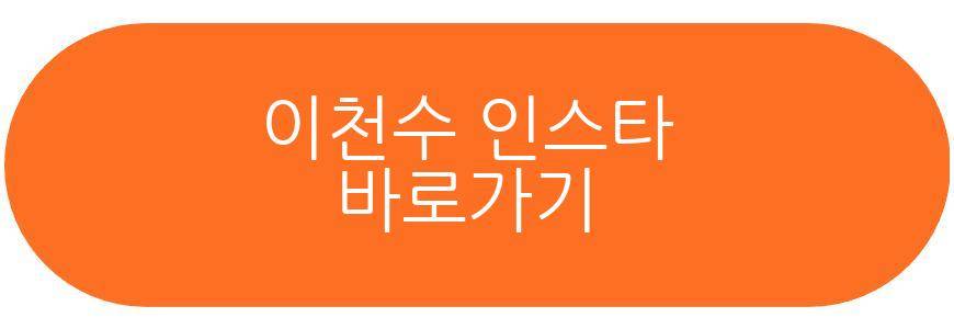 이천수 딸