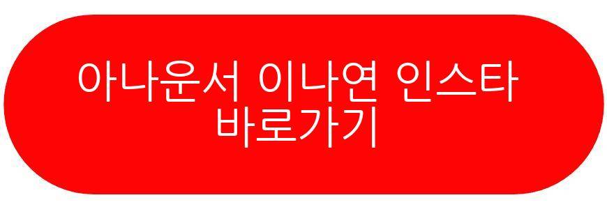 아나운서 이나연