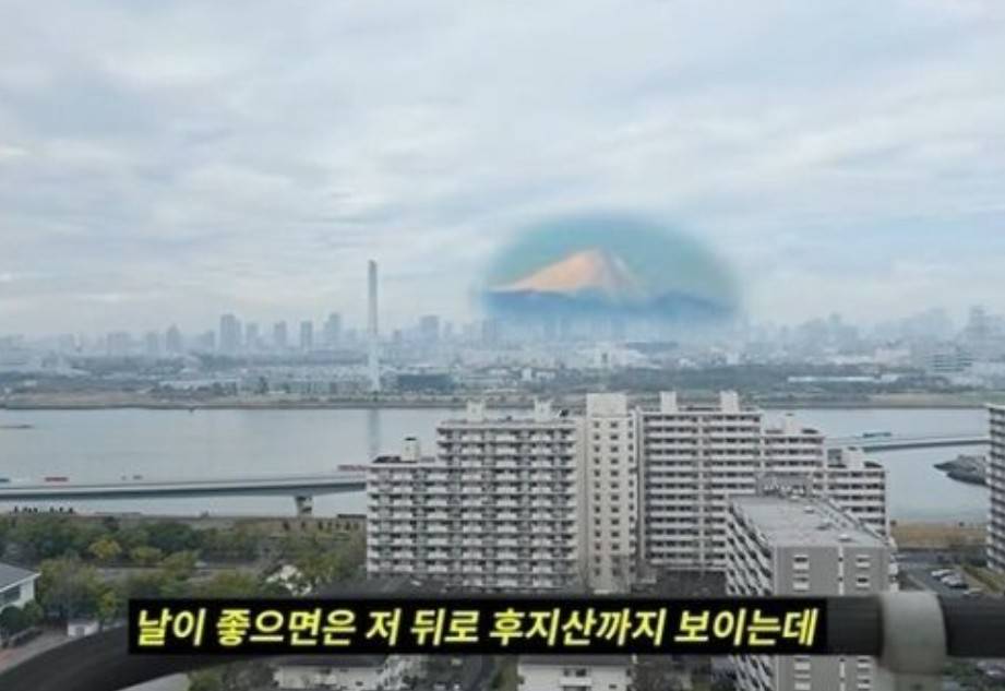 이상화 강남