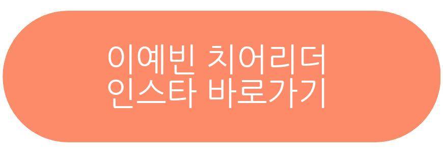 이예빈 치어리더