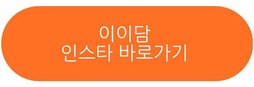 이이담