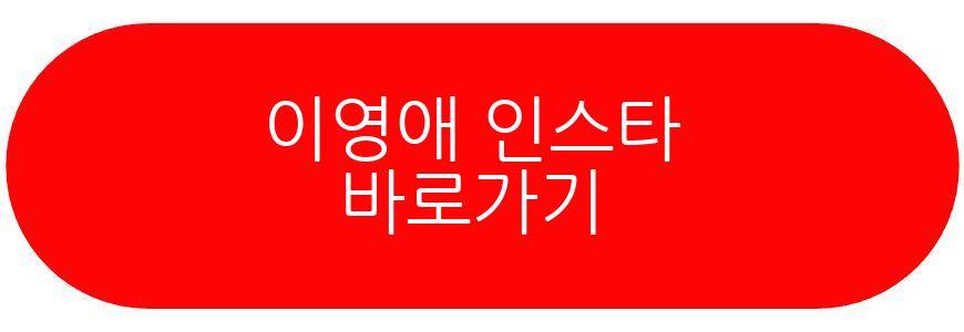 이영애