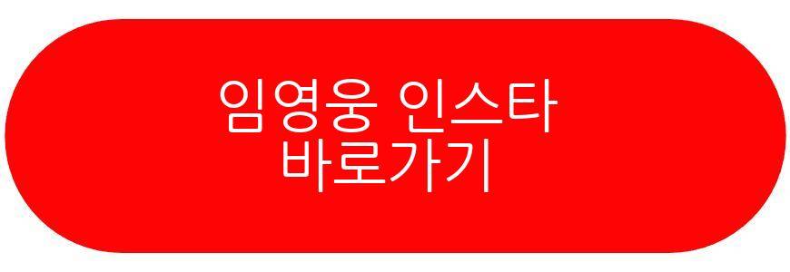 임영웅