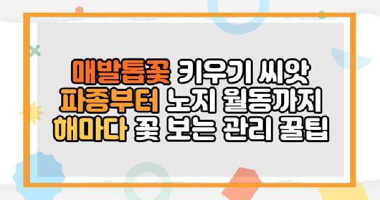 매발톱꽃 키우기 씨앗 파종부터 노지 월동까지 해마다 꽃 보는 관리 꿀팁