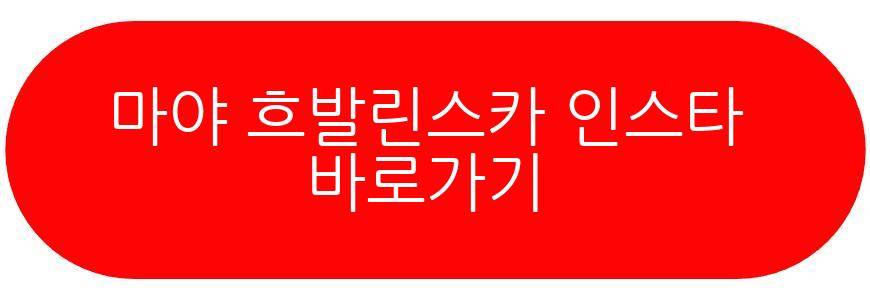 마야 흐발린스카 프랑스오픈 4강