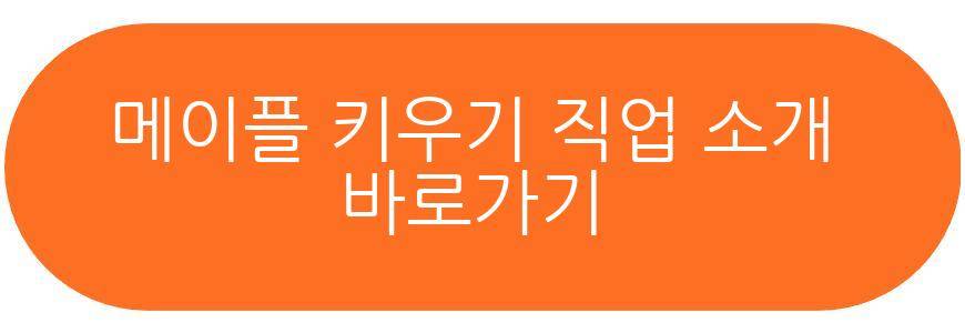 메이플 키우기 직업