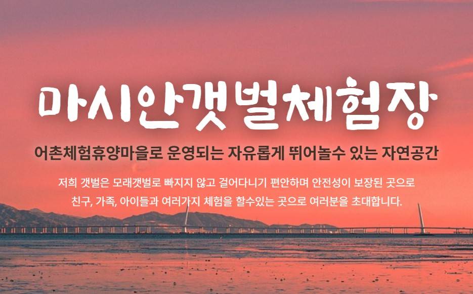 마시안 갯벌체험