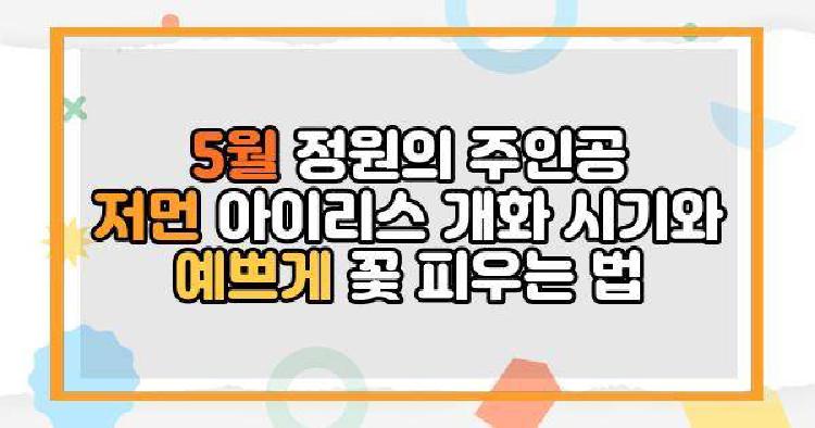 5월 정원의 주인공 저먼 아이리스 개화 시기와 예쁘게 꽃 피우는 법