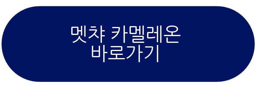 멧챠 카멜레온