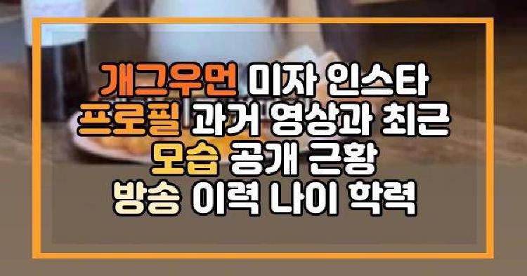 개그우먼 미자 인스타 프로필 과거 영상과 최근 모습 공개 근황 방송 이력 나이 학력