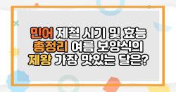 민어 제철 시기 및 효능 총정리 여름 보양식의 제왕 가장 맛있는 달은?