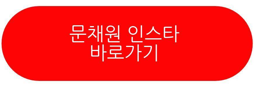 문채원